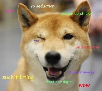 main photo of Doge